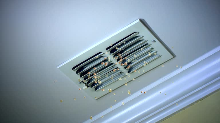 HVAC System Cleaning in Panama City Beach, FL